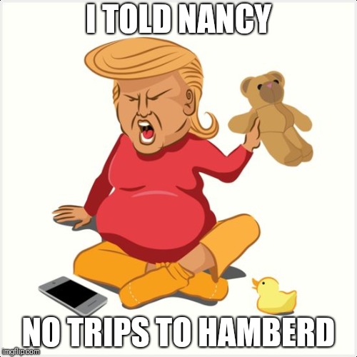 Cry baby trump | I TOLD NANCY; NO TRIPS TO HAMBERD | image tagged in cry baby trump | made w/ Imgflip meme maker