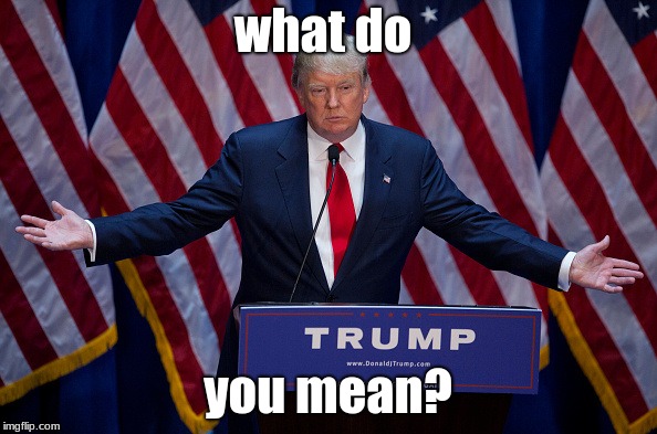 Donald Trump | what do you mean? | image tagged in donald trump | made w/ Imgflip meme maker