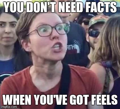 Angry Liberal | YOU DON'T NEED FACTS WHEN YOU'VE GOT FEELS | image tagged in angry liberal | made w/ Imgflip meme maker