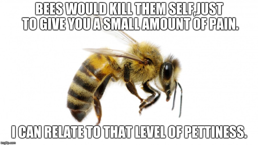 Vanessa sucks on bee toes. | BEES WOULD KILL THEM SELF,JUST TO GIVE YOU A SMALL AMOUNT OF PAIN. I CAN RELATE TO THAT LEVEL OF PETTINESS. | image tagged in bee movie | made w/ Imgflip meme maker