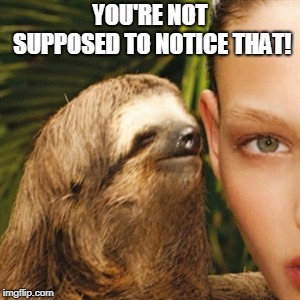 Whisper Sloth Meme | YOU'RE NOT SUPPOSED TO NOTICE THAT! | image tagged in memes,whisper sloth | made w/ Imgflip meme maker