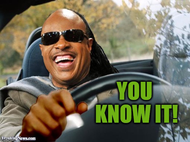 Stevie Wonder Driving | YOU KNOW IT! | image tagged in stevie wonder driving | made w/ Imgflip meme maker