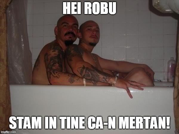 Gay Gangsters | HEI ROBU; STAM IN TINE CA-N MERTAN! | image tagged in gay gangsters | made w/ Imgflip meme maker