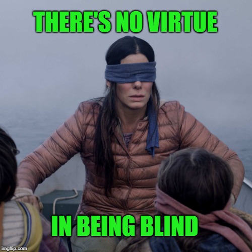Bird Box Meme | THERE'S NO VIRTUE IN BEING BLIND | image tagged in birdbox | made w/ Imgflip meme maker