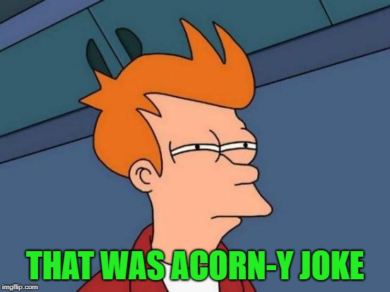 Futurama Fry Meme | THAT WAS ACORN-Y JOKE | image tagged in memes,futurama fry | made w/ Imgflip meme maker