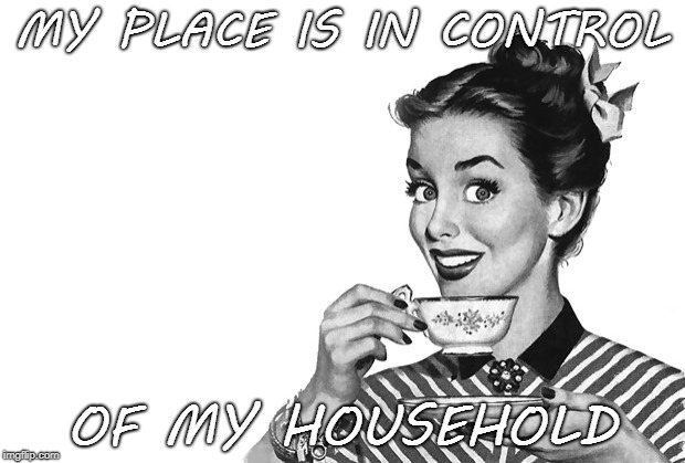 1950s Housewife | MY PLACE IS IN CONTROL; OF MY HOUSEHOLD | image tagged in 1950s housewife | made w/ Imgflip meme maker