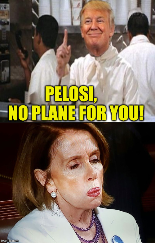 No Plane For You! | PELOSI,     NO PLANE FOR YOU! | image tagged in nancy pelosi pb sandwich,no soup for you,memes,donald trump,political | made w/ Imgflip meme maker
