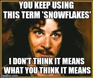 It goes further than 'melting' | YOU KEEP USING THIS TERM 'SNOWFLAKES'; I DON'T THINK IT MEANS WHAT YOU THINK IT MEANS | image tagged in princess bride,liberal logic,liberals vs conservatives | made w/ Imgflip meme maker