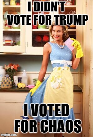 Happy House Wife | I DIDN'T VOTE FOR TRUMP; I VOTED FOR CHAOS | image tagged in happy house wife | made w/ Imgflip meme maker