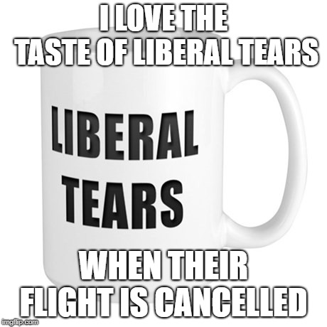 Liberal Tears Mug | I LOVE THE TASTE OF LIBERAL TEARS; WHEN THEIR FLIGHT IS CANCELLED | image tagged in liberal tears mug | made w/ Imgflip meme maker