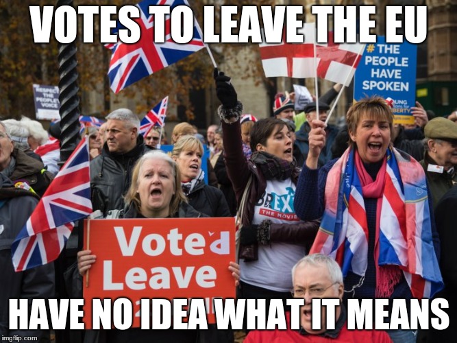 brexit | VOTES TO LEAVE THE EU; HAVE NO IDEA WHAT IT MEANS | image tagged in brexit | made w/ Imgflip meme maker