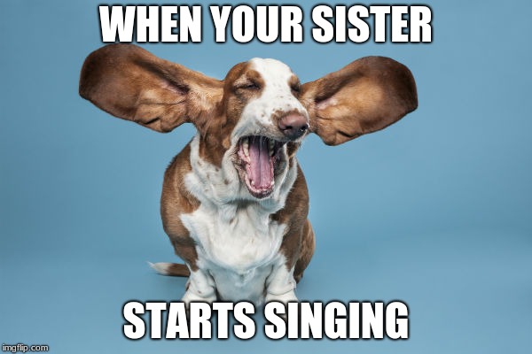 Probably true for most people | WHEN YOUR SISTER; STARTS SINGING | image tagged in stop,pain | made w/ Imgflip meme maker