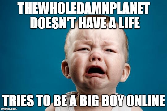 BABY CRYING | THEWHOLEDAMNPLANET DOESN'T HAVE A LIFE; TRIES TO BE A BIG BOY ONLINE | image tagged in baby crying | made w/ Imgflip meme maker