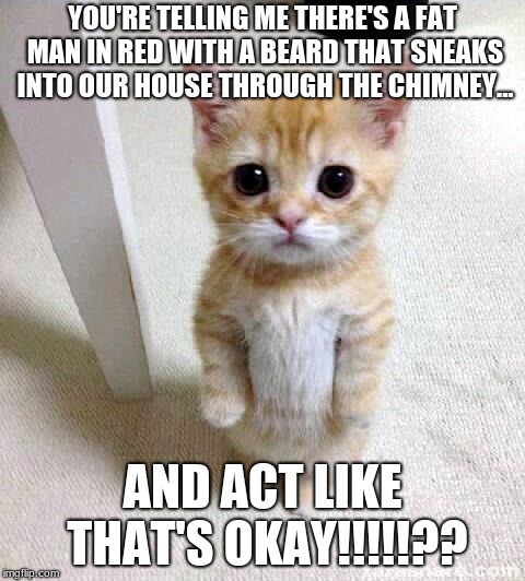 Cute Cat Meme | YOU'RE TELLING ME THERE'S A FAT MAN IN RED WITH A BEARD THAT SNEAKS INTO OUR HOUSE THROUGH THE CHIMNEY... AND ACT LIKE THAT'S OKAY!!!!!?? | image tagged in memes,cute cat | made w/ Imgflip meme maker