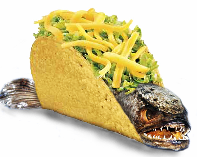 High Quality Fish Taco Blank Meme Template