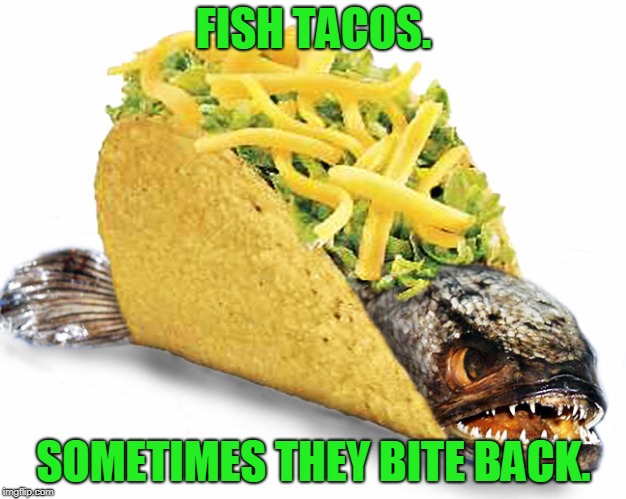 Fish Taco | FISH TACOS. SOMETIMES THEY BITE BACK. | image tagged in fish taco | made w/ Imgflip meme maker