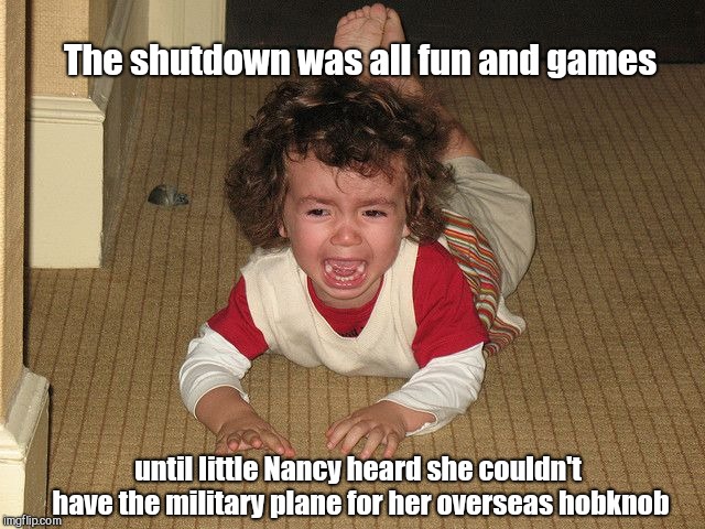 Little Nancy Hobknob | The shutdown was all fun and games; until little Nancy heard she couldn't have the military plane for her overseas hobknob | image tagged in temper tantrum,nancy pelosi,democrat tactics backfire,government shutdown | made w/ Imgflip meme maker