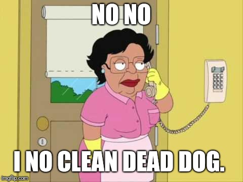 Consuela Meme | NO NO I NO CLEAN DEAD DOG. | image tagged in memes,consuela | made w/ Imgflip meme maker