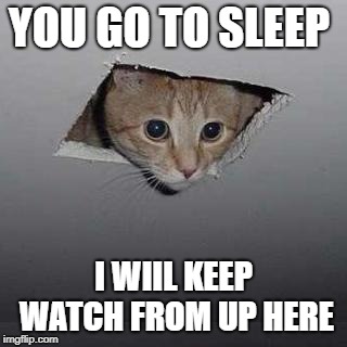 Ceiling Cat Meme | YOU GO TO SLEEP; I WIIL KEEP WATCH FROM UP HERE | image tagged in memes,ceiling cat | made w/ Imgflip meme maker
