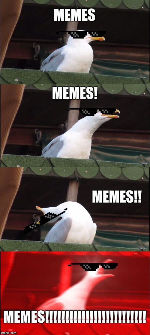 Inhaling Seagull Meme | MEMES; MEMES! MEMES!! MEMES!!!!!!!!!!!!!!!!!!!!!!!!! | image tagged in memes,inhaling seagull | made w/ Imgflip meme maker