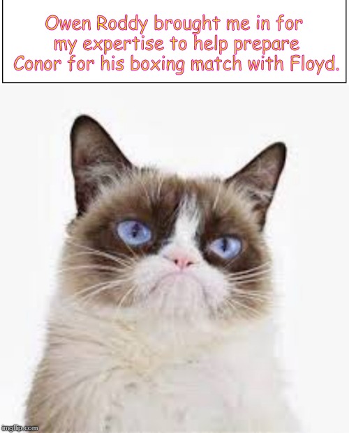 Owen Roddy brought me in for my expertise to help prepare Conor for his boxing match with Floyd. | image tagged in grumpy cat | made w/ Imgflip meme maker