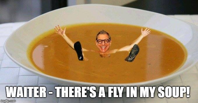 WAITER - THERE'S A FLY IN MY SOUP! | image tagged in fly | made w/ Imgflip meme maker