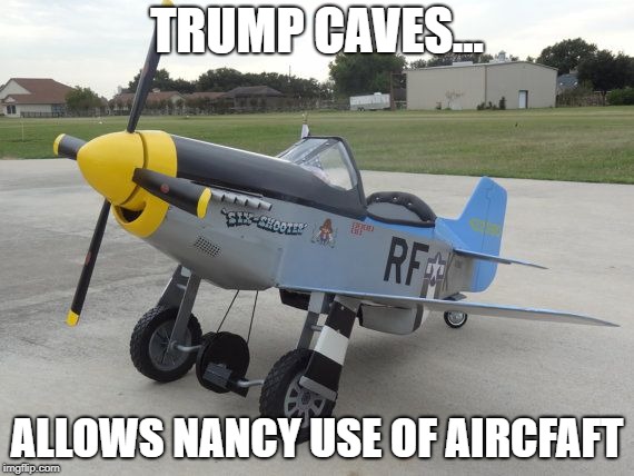 TRUMP CAVES... ALLOWS NANCY USE OF AIRCFAFT | made w/ Imgflip meme maker