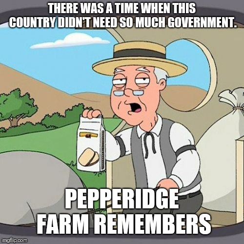 Pepperidge Farm Remembers | THERE WAS A TIME WHEN THIS COUNTRY DIDN'T NEED SO MUCH GOVERNMENT. PEPPERIDGE FARM REMEMBERS | image tagged in memes,pepperidge farm remembers | made w/ Imgflip meme maker