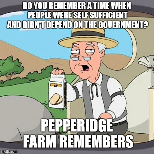 Pepperidge Farm Remembers | DO YOU REMEMBER A TIME WHEN PEOPLE WERE SELF SUFFICIENT AND DIDN'T DEPEND ON THE GOVERNMENT? PEPPERIDGE FARM REMEMBERS | image tagged in memes,pepperidge farm remembers | made w/ Imgflip meme maker