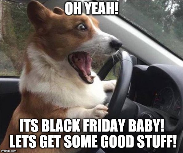 Who Can Relate | OH YEAH! ITS BLACK FRIDAY BABY! LETS GET SOME GOOD STUFF! | image tagged in dog driving,memes,funny meme | made w/ Imgflip meme maker