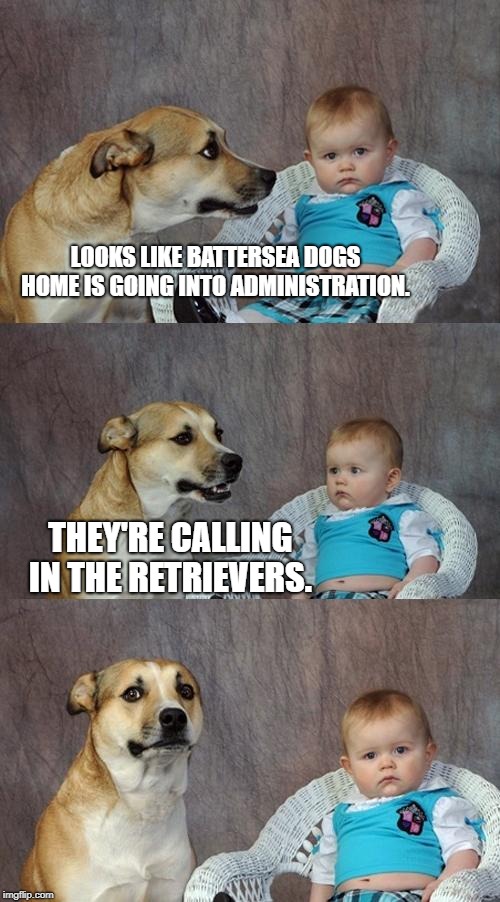 Dad Joke Dog Meme | LOOKS LIKE BATTERSEA DOGS HOME IS GOING INTO ADMINISTRATION. THEY'RE CALLING IN THE RETRIEVERS. | image tagged in memes,dad joke dog | made w/ Imgflip meme maker