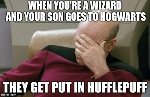 Captain Picard Facepalm Meme | WHEN YOU'RE A WIZARD AND YOUR SON GOES TO HOGWARTS; THEY GET PUT IN HUFFLEPUFF | image tagged in memes,captain picard facepalm | made w/ Imgflip meme maker