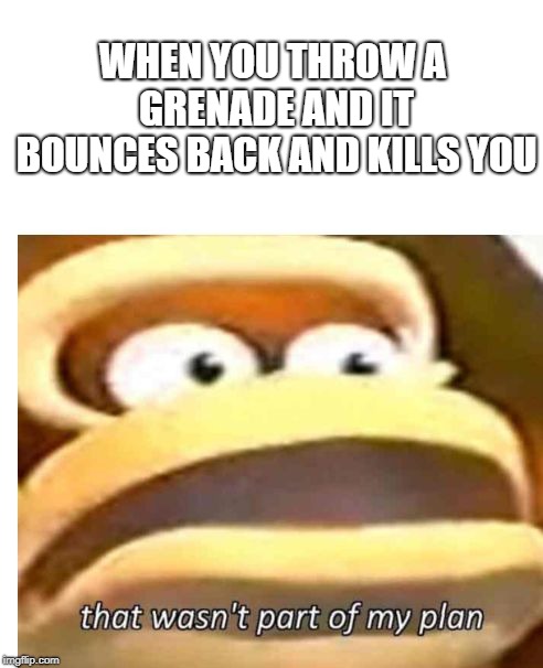 That wasn't part of my plan | WHEN YOU THROW A GRENADE AND IT BOUNCES BACK AND KILLS YOU | image tagged in that wasn't part of my plan | made w/ Imgflip meme maker
