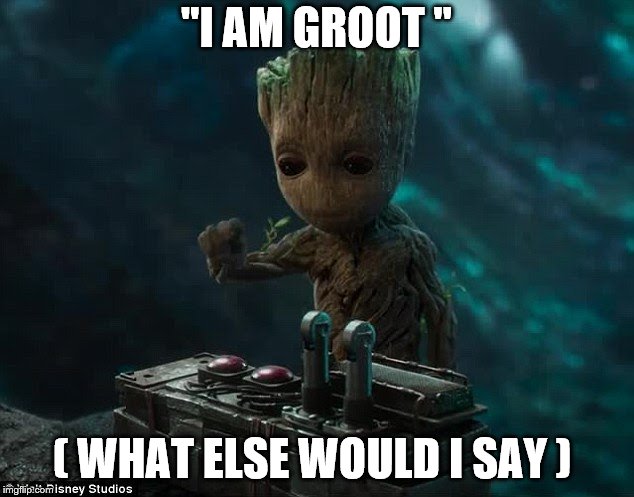 Baby groot | "I AM GROOT "; ( WHAT ELSE WOULD I SAY ) | image tagged in baby groot | made w/ Imgflip meme maker