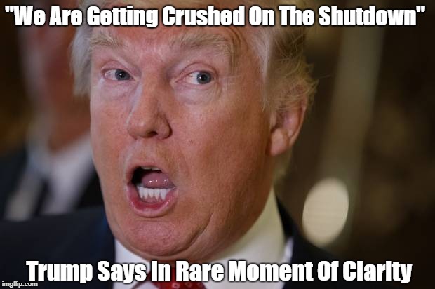 "We Are Getting Crushed On The Shutdown" Says Trump In Rare Moment Of Clarity | "We Are Getting Crushed On The Shutdown"; Trump Says In Rare Moment Of Clarity | image tagged in the wall,trump's wall,deplorable donald,despicable donald,devious donald,dishonorable donald | made w/ Imgflip meme maker