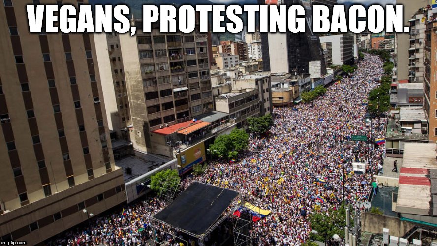 Protest | VEGANS, PROTESTING BACON. | image tagged in protest | made w/ Imgflip meme maker