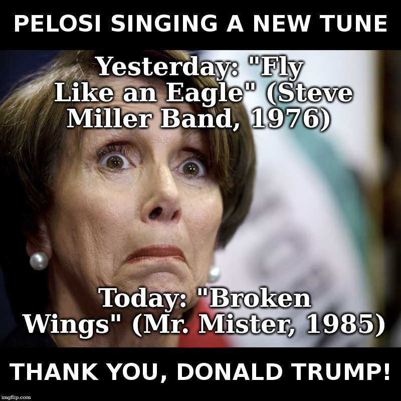 Pelosi Singing A New Tune | Yesterday: "Fly Like an Eagle" (Steve Miller Band, 1976); Today: "Broken Wings" (Mr. Mister, 1985) | image tagged in donald trump,nancy pelosi | made w/ Imgflip meme maker