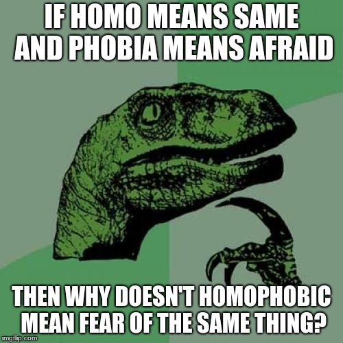 Philosoraptor Meme | IF HOMO MEANS SAME AND PHOBIA MEANS AFRAID; THEN WHY DOESN'T HOMOPHOBIC MEAN FEAR OF THE SAME THING? | image tagged in memes,philosoraptor | made w/ Imgflip meme maker