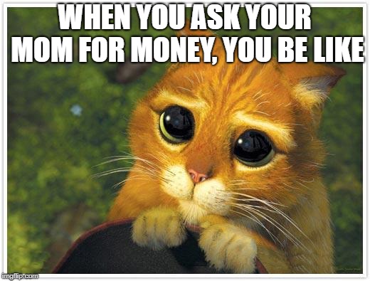 Shrek Cat | WHEN YOU ASK YOUR MOM FOR MONEY, YOU BE LIKE | image tagged in memes,shrek cat | made w/ Imgflip meme maker
