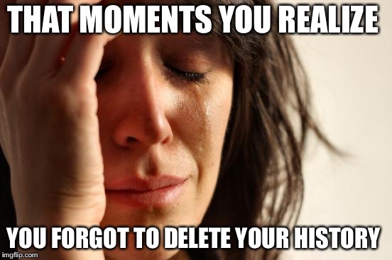 First World Problems Meme | THAT MOMENTS YOU REALIZE; YOU FORGOT TO DELETE YOUR HISTORY | image tagged in memes,first world problems | made w/ Imgflip meme maker