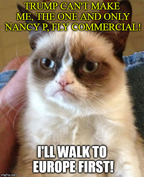 Grumpy Cat | TRUMP CAN'T MAKE ME, THE ONE AND ONLY NANCY P, FLY COMMERCIAL! I'LL WALK TO EUROPE FIRST! | image tagged in memes,grumpy cat | made w/ Imgflip meme maker
