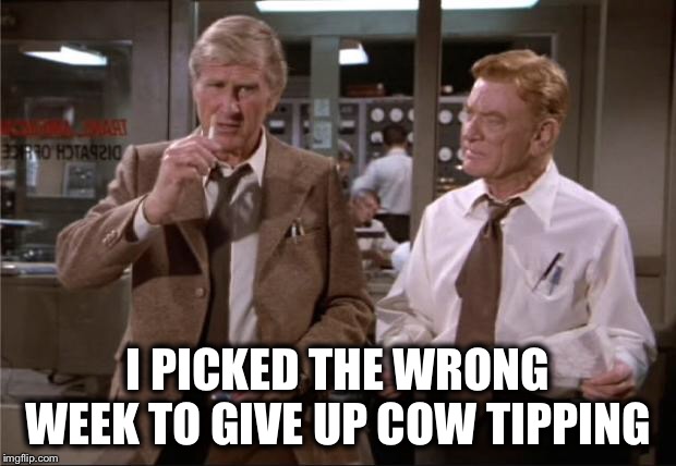 Airplane Wrong Week | I PICKED THE WRONG WEEK TO GIVE UP COW TIPPING | image tagged in airplane wrong week | made w/ Imgflip meme maker