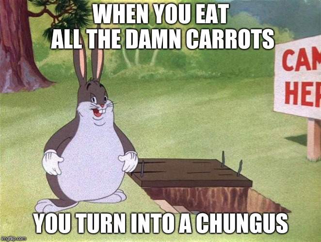 Big Chungus | WHEN YOU EAT ALL THE DAMN CARROTS; YOU TURN INTO A CHUNGUS | image tagged in big chungus | made w/ Imgflip meme maker