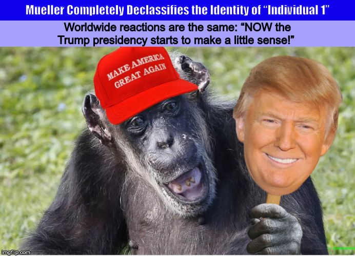 Mueller Completely Declassifies the Identity of “Individual 1” | image tagged in trump,donald trump,mueller,individual 1,funny,memes | made w/ Imgflip meme maker