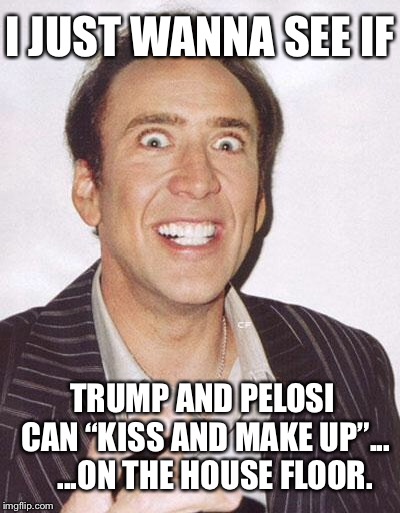 Will Trump and Pelosi “kiss and make up”...on the House floor? | I JUST WANNA SEE IF; TRUMP AND PELOSI CAN “KISS AND MAKE UP”...    ...ON THE HOUSE FLOOR. | image tagged in cage is watching,memes,donald trump,nancy pelosi,house,government shutdown | made w/ Imgflip meme maker