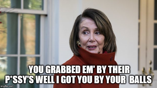 Nancy Pelosi the beast  | YOU GRABBED EM' BY THEIR P*SSY'S WELL I GOT YOU BY YOUR  BALLS | image tagged in image | made w/ Imgflip meme maker