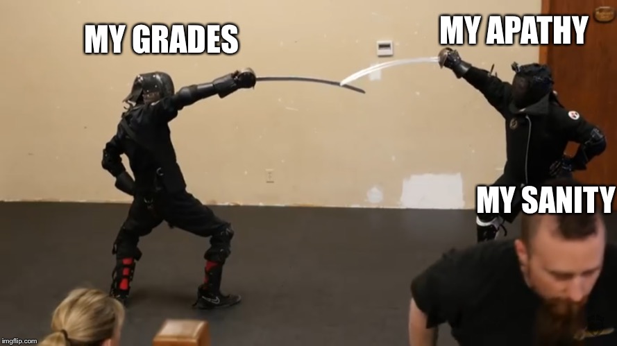 Sparring | MY APATHY; MY GRADES; MY SANITY | image tagged in sparring | made w/ Imgflip meme maker