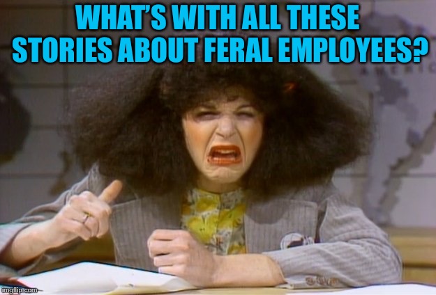 Gilda Radner | WHAT’S WITH ALL THESE STORIES ABOUT FERAL EMPLOYEES? | image tagged in gilda radner | made w/ Imgflip meme maker