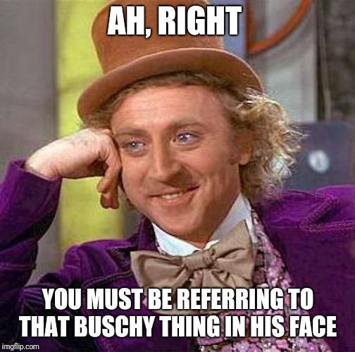 Creepy Condescending Wonka Meme | AH, RIGHT YOU MUST BE REFERRING TO THAT BUSCHY THING IN HIS FACE | image tagged in memes,creepy condescending wonka | made w/ Imgflip meme maker