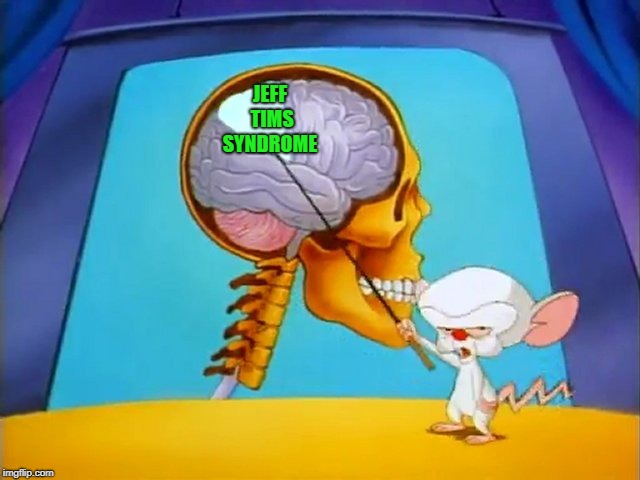 the brain | JEFF TIMS SYNDROME | image tagged in the brain | made w/ Imgflip meme maker